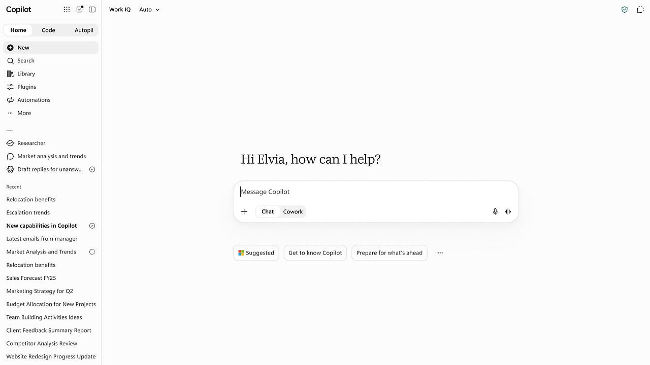Vista de Microsoft Copilot
