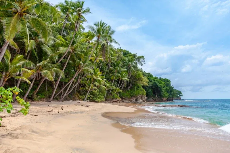 Playa Los Muertos Beach Club